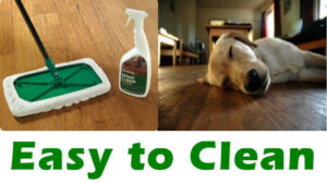 Easy To Clean