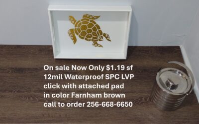 Floor Store Near Hamilton, Alabama