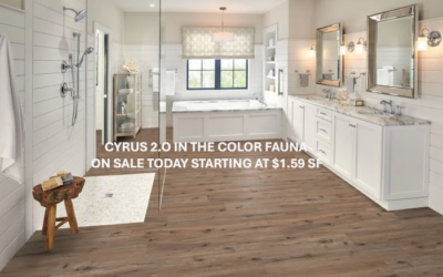 Blog Flooring Store Near Fulton, Mississippi