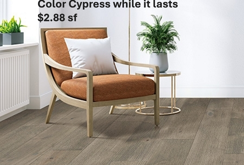 Near Sheffield, Alabama Flooring Store
